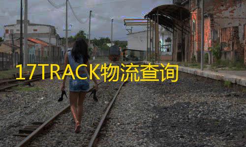 第五人格开挂免费软件17TRACK物流查询平台：助力跨境购物，让全球物流触手可及